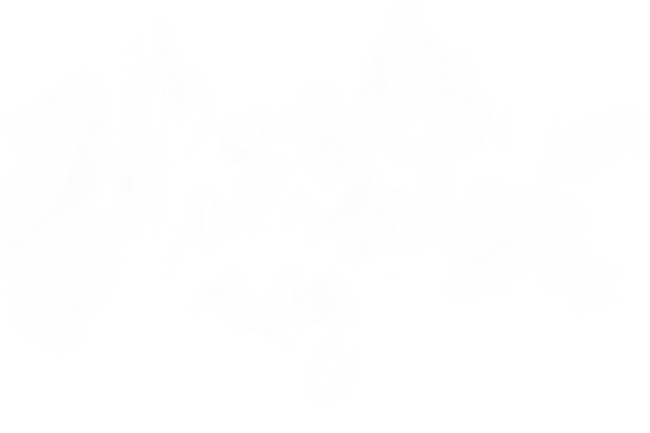 s7